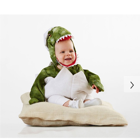 Pottery barn baby dinosaur costume 18 to 24 months - Picture 4 of 7